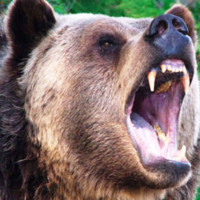 अमेरिकी व्यापार नीतिको असर, जर्मनीको वृद्धि दर घट्ने सङ्केत