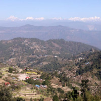 अमेरिकी व्यापार नीतिको असर, जर्मनीको वृद्धि दर घट्ने सङ्केत