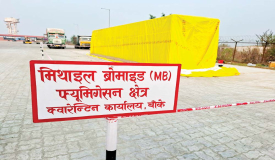 पचास वर्षमा ऐन कार्यान्वयन , सल्लाको आँख्लाको निर्यात सुरु