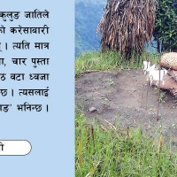 मिर्मिरे (निबन्ध)