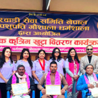 मिर्मिरे (निबन्ध)