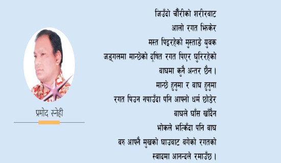 लुम्बिनीले विराटनगरलाई दियो १३५ रनको चुनौती