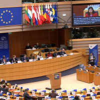 लुम्बिनीले विराटनगरलाई दियो १३५ रनको चुनौती