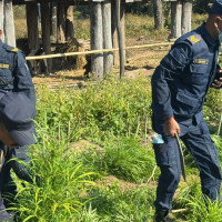 ‘अस्थायी आवास निर्माणको काममा जुटेका छौँ’