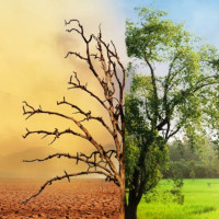 जिल्ला कारागारमा कैदीबन्दी कोचाकोच