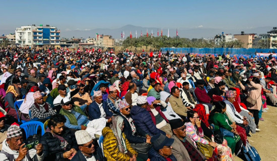 पिङको रमाइलोले बालबालिकामा थपियो उत्साह (फोटो फिचर)