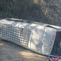 आलुखेतीमा डढुवा कीराको सङ्क्रमण