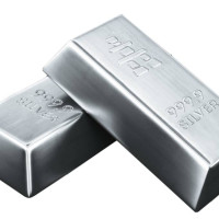 च्याउ खेतीमा भविष्य खोज्दै बस्नेत दम्पती