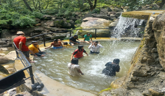 च्याउ खेतीमा भविष्य खोज्दै बस्नेत दम्पती