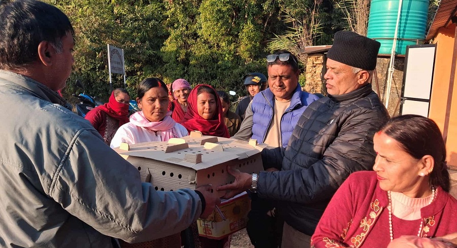 एक हजारलाई कुखुरा चल्ला वितरण