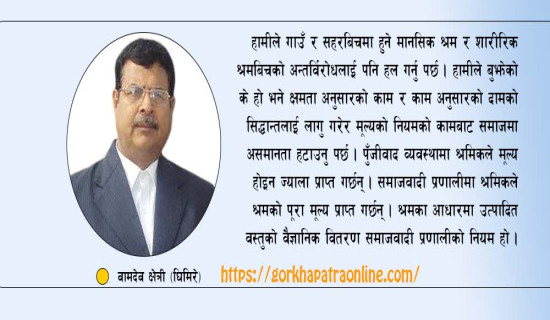 समाजवादको मूल आधार