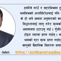 प्रतिवेदनकै लागि शिक्षा आयोग !