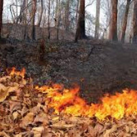 रामग्राम स्तूप क्षेत्र विकास गुरुयोजना कार्यान्वयन गर्ने प्रधानमन्त्रीको प्रतिबद्धता