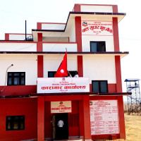 धानको उत्पादन घटेसँगै मूल्यमा पनि गिरावट