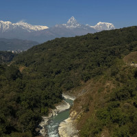 क्रिकेट टिमलाई प्रधानमन्त्री प्रचण्डको बधाई