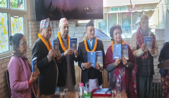 तस्बिरमा नेवा एकता दिवस