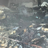 तस्बिरमा नेवा एकता दिवस