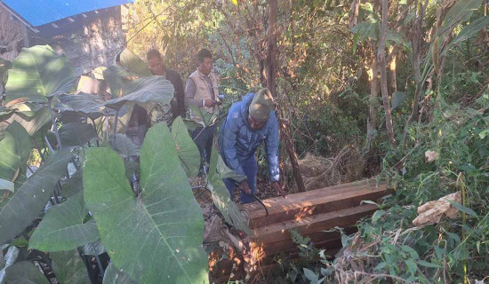 तस्करीको लागि लुकाइएको काठ बरामद