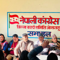 राष्ट्रपतिद्वारा कतारका लागि राजदूत नियुक्त