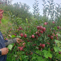 जग नबन्दै अलपत्र नगरपालिकाको भवन