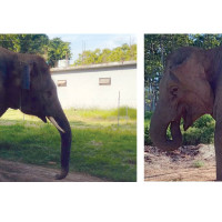 वैकल्पिक बासस्थान मिलाउन मिटरब्याज पीडितको माग