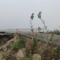 गाजामा पाँच लाख ६० हजार बालबालिकालाई पोलियो खोप लगाइयो : राष्ट्रसङ्घ