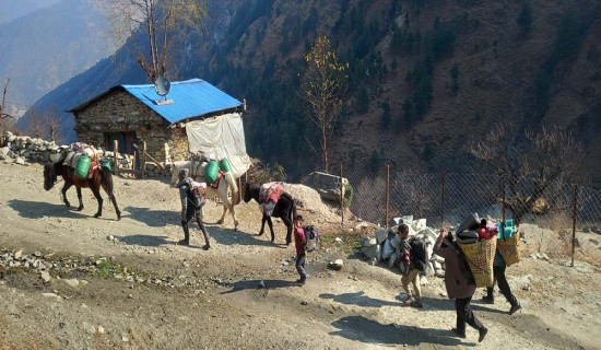 चिसो बढेपछि बेँसी झर्न थाले मुगाली