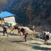 वैकल्पिक बासस्थान मिलाउन मिटरब्याज पीडितको माग