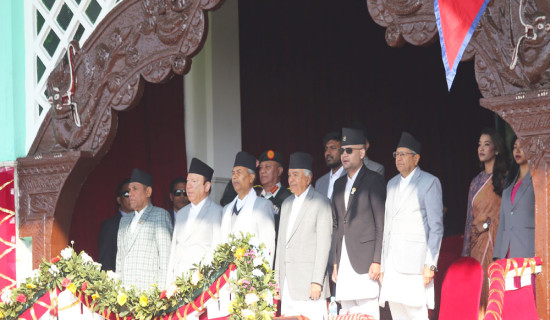 ३१ औँ काठमाडाैँ महानगर दिवस (फाेटाे फिचर)