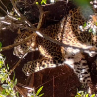 लोक सेवा आयोग तयारीका लागि बस्तुगत प्रश्नोत्तर