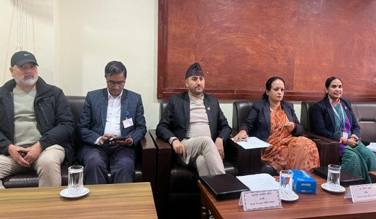 व्यवसायीको रोजाइमा नेपाली प्लाइउड