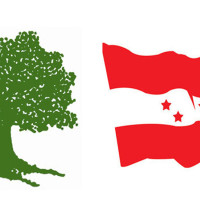 ‘दुई सय आठ रोपनी सार्वजनिक जग्गा फिर्ता’