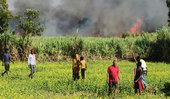 निर्यात प्रवर्धनमा लाग्न आग्रह