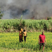 आठ देशका लागि राजदूत नियुक्ति सिफारिस