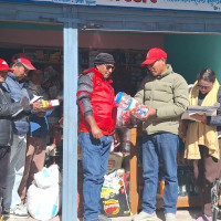 सर्लाहीमा स्यालले टोकेर १३ जना घाइते