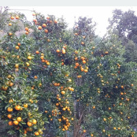 लोकसेवा तयारी विशेष : वस्तुगत प्रश्नोत्तर