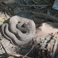 लोकसेवा तयारी विशेष : वस्तुगत प्रश्नोत्तर