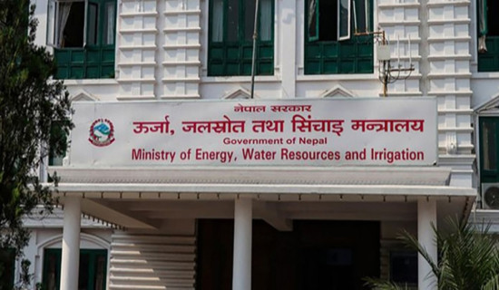 मल आउनै बाँकी : झापामा रोपाइँ सुरु