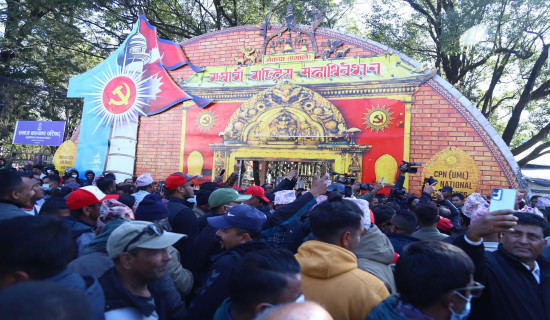 उपमहासचिवदेखि सदस्य पदका लागि २० थारु नेता मैदानमा