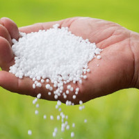 उखु किसानले ३२ करोड अनुदान पाउन बाँकी