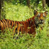 राजस्व संकलनमा थप मेहनत गर्न अर्थमन्त्रीको निर्देशन