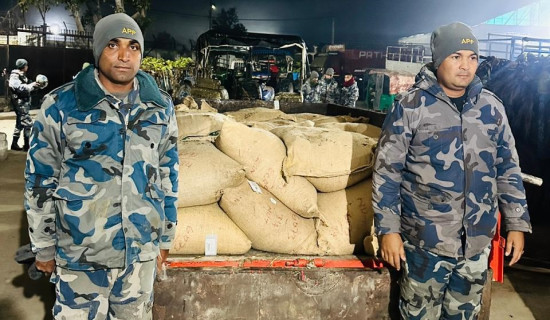 गैँडाको खागसहित तीन पक्राउ