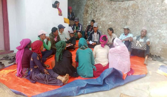 कृत्रिम रूपमा पकाइएको आँप जोखिमयुक्त