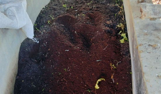 गड्यौला मल पुर्‍याउनै मुस्किल