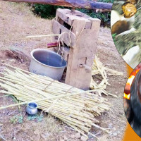 पश्चिम सेती विद्युत् प्रसारण, वातावरणीय अध्ययन सुरु