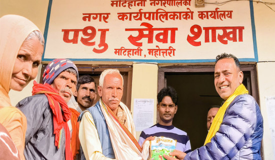 मटिहानी नगरपालिकाद्वारा गहुँको बिउ वितरण
