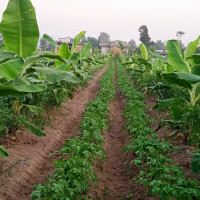 प्रदेश सभाको बैठक पुस पहिलो साता बस्ने