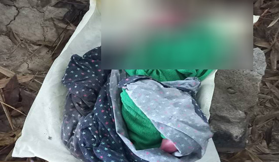 नवजात शिशु झाडीमा फाल्ने महिला नियन्त्रणमा