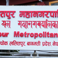 विदेशको जागिर छाडेर सुन्तला खेतीमा