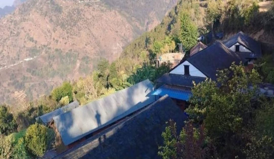 एकै दिन सोह्र हजार दाँते ओखर रोपिँदै